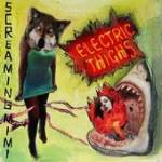 Electric Thighs<br />b/w My Favourite Objects CD Cover