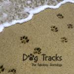 Dog Tracks CD Cover