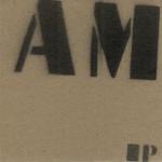 AM EP CD Cover