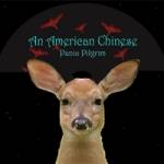 Panic Pilgrim CD Cover