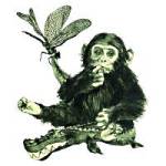Lucky Face CD Cover