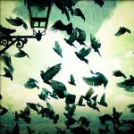With Our Arms Wide Open CD Cover
