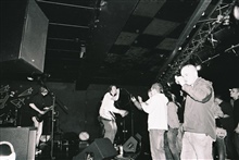 The Audience