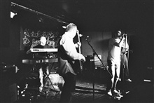 The Levings