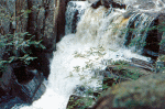 falls of clyde