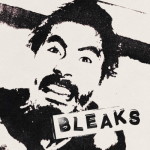 Bleaks cover art